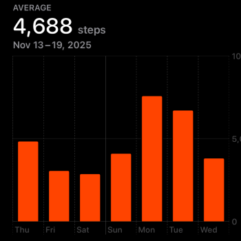 More of my steps.